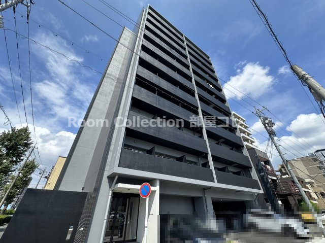 A&G KAMEJIMA(エージーカメジマ)