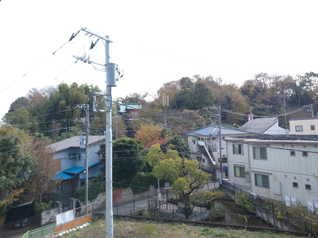 （シニア限定）ヘーベルVillage Cocona 綱島 Ⅰの展望|南向き日当たり良好