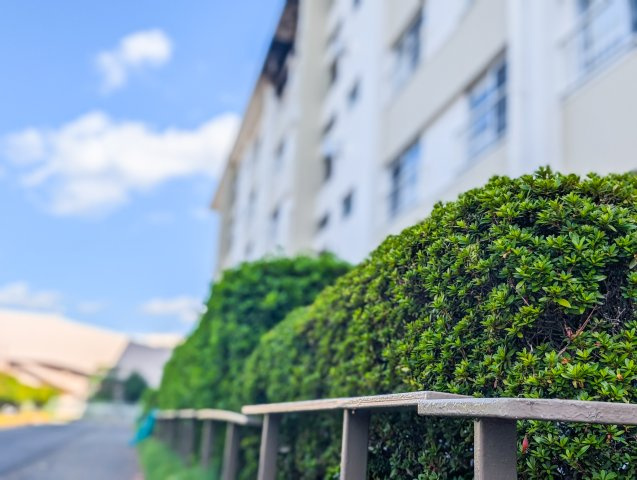 西けやき台団地第9号棟の外観|【A place that feels right】◆自然と人が集まる◆
広がりを感じる住空間と、手触りのある落ち着いた雰囲気。
ここで重ねる毎日が、暮らし方そのものを静かに変えていく。