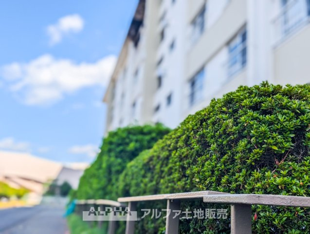 西けやき台団地第9号棟の外観|【Green orchestra】
◆緑のオーケストラ◆窓の外を見渡すと風光明媚な緑の景色。移ろう季節に表情を変えるグリーンとそれに呼応して変化する外観。緑とシンパシーし鳴りやまないオーケストラの邸宅