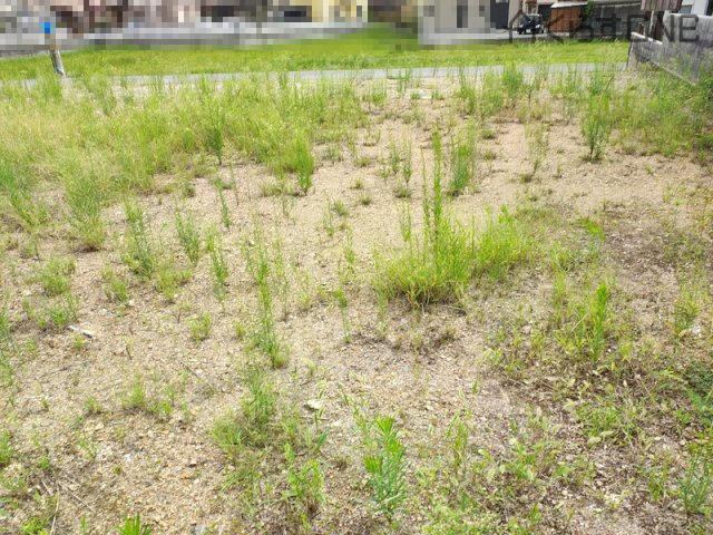 【外観】 | 姫路市書写／3区画