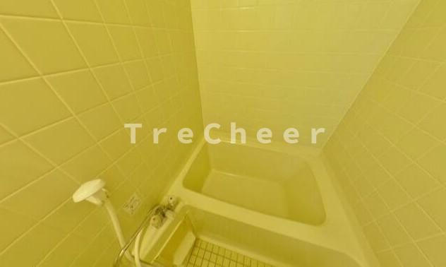 ヴィレッヂツチダの浴室