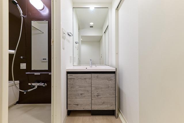 エスタート入谷Ⅱの洗面所