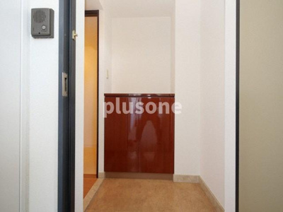 【玄関】 | ディナスティ玉造