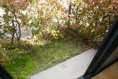 【庭】 | パルクプレッソB