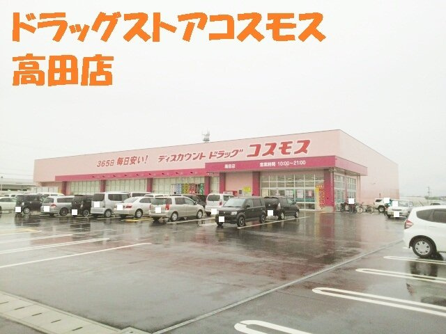 リーフ桜の周辺|ドラッグストアコスモス高田店まで900m