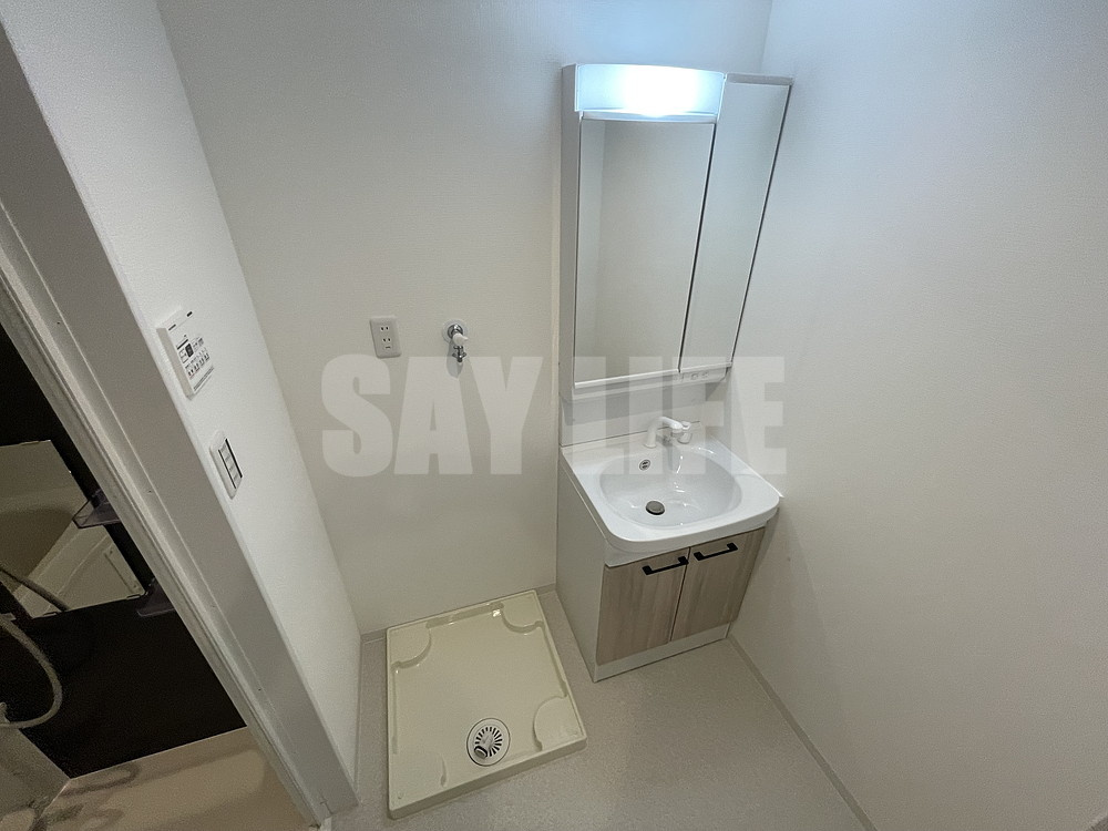 Avantio緑橋Alivioの洗面所