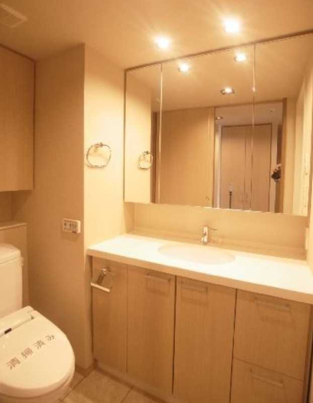 エスティメゾン銀座　ペット相談　駅近　駐車場有の洗面所