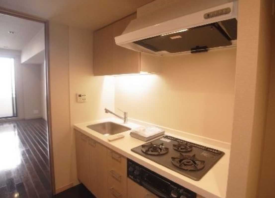 エスティメゾン銀座　ペット相談　駅近　駐車場有のキッチン