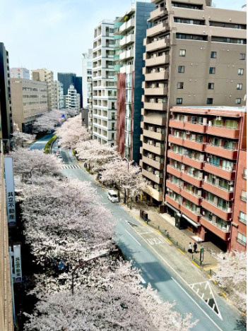 【販売終了】朝日広尾マンションの展望