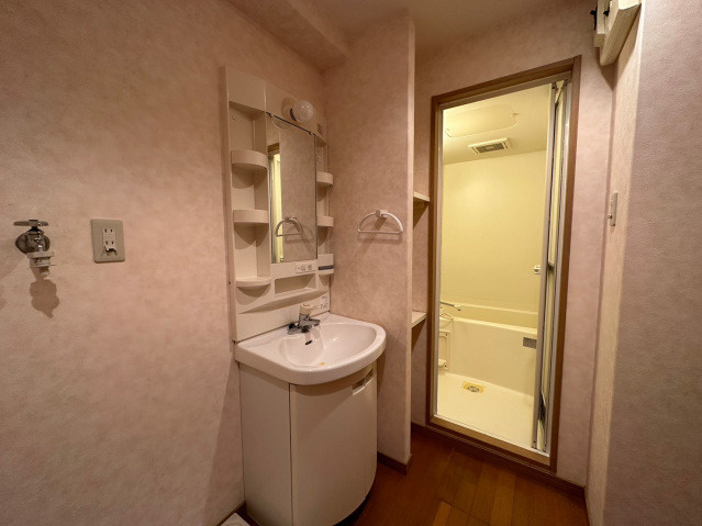 リヴィエール鳥飼の洗面所