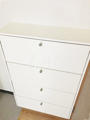 【収納】 | シティフラット池袋本町 | シューズボックスです。