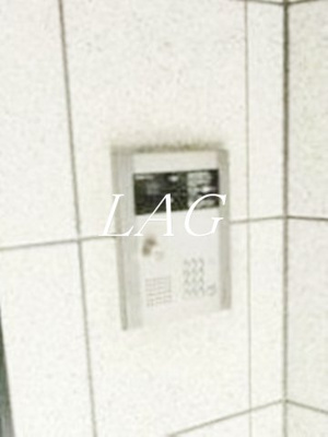 【セキュリティ】 | クリスタル・ハイツ青井 | オートロックです。