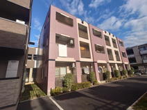 ジョリー柏の画像