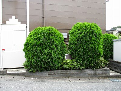 レオパレスシャトーヒライデのその他