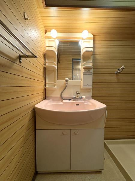 エメラルドマンション古国府の独立洗面台|シャンプードレッサー付きの独立洗面台もあり身支度もはかどりますね！