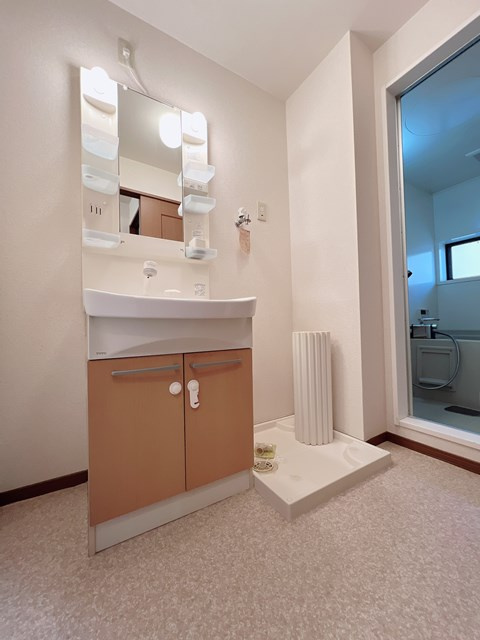 エントピアの洗面所