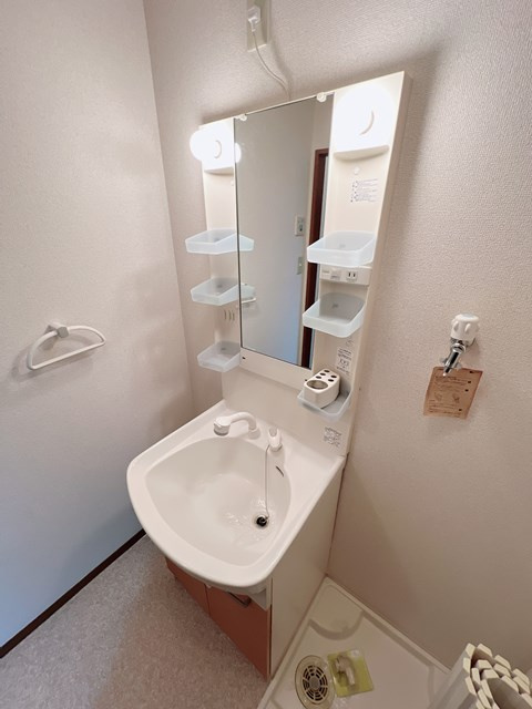 エントピアの洗面所