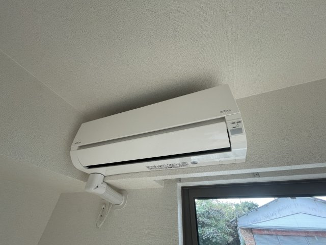 りりあん　Ⅱのその他