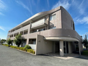 エバーグリーンの画像