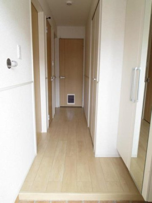 【玄関】 | ナイトＢ | きれいな玄関です