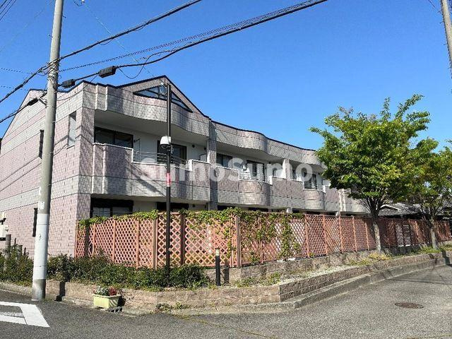 マウントック・レオ