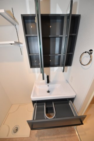 セレニテ難波グランデシュッドの洗面所