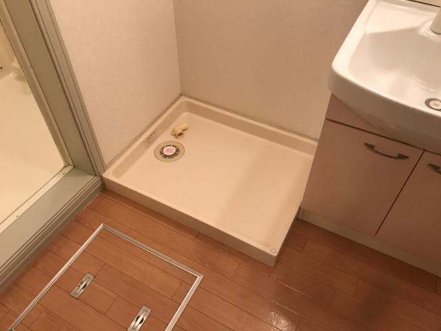 スカイ・ピースの洗面所|洗濯機置場