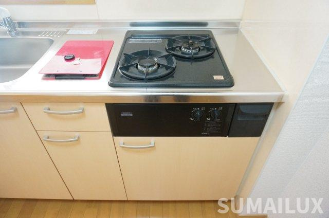 熊本市中央区水前寺公園の賃貸マンションのキッチン