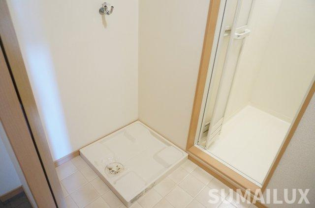 熊本市中央区水前寺公園の賃貸マンションの洗面所