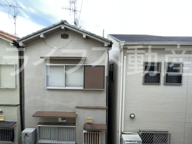 F asecia Luisの展望