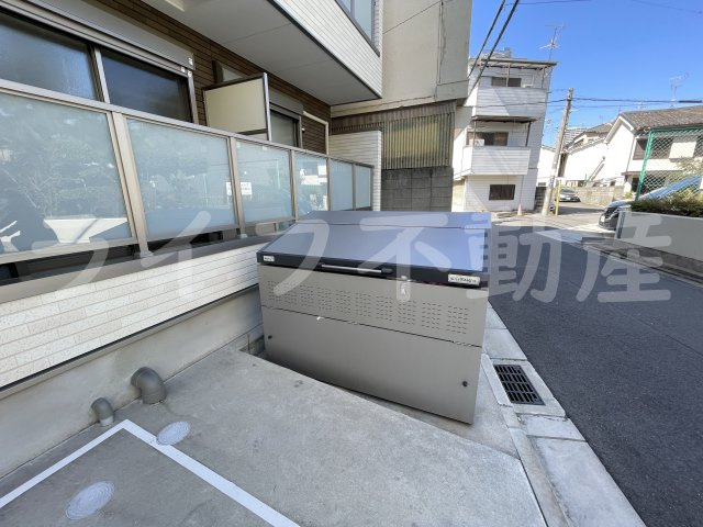 F asecia Luisのその他