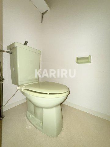 ヴェルドミールのトイレ