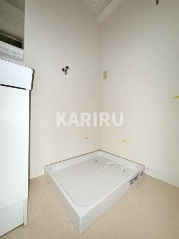 ヴェルドミールのその他