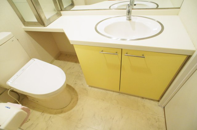 スカイコート浜松町壱番館の洗面所