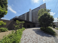 ドレッセ中央林間エアリーコート【総世帯数857戸大規模マンション/共有施設充実/約72㎡３LDK】の画像