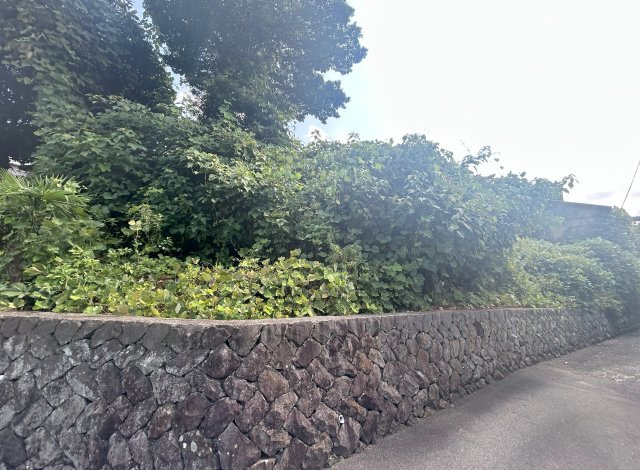 和泉市久井町土地の外観|現地写真②