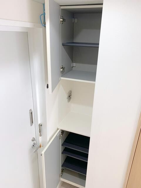 ラフィーネひばりヶ丘の玄関