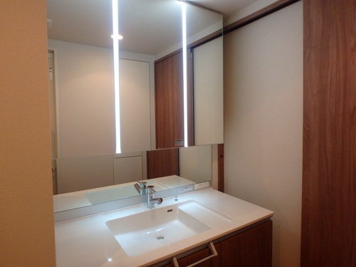 熊本市中央区大江２丁目の賃貸マンションの独立洗面台