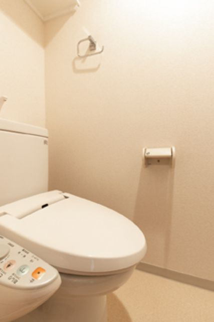 ルミエール中町のトイレ