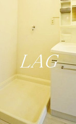 【設備】 | レオドール府中 | 室内洗濯機置き場です。