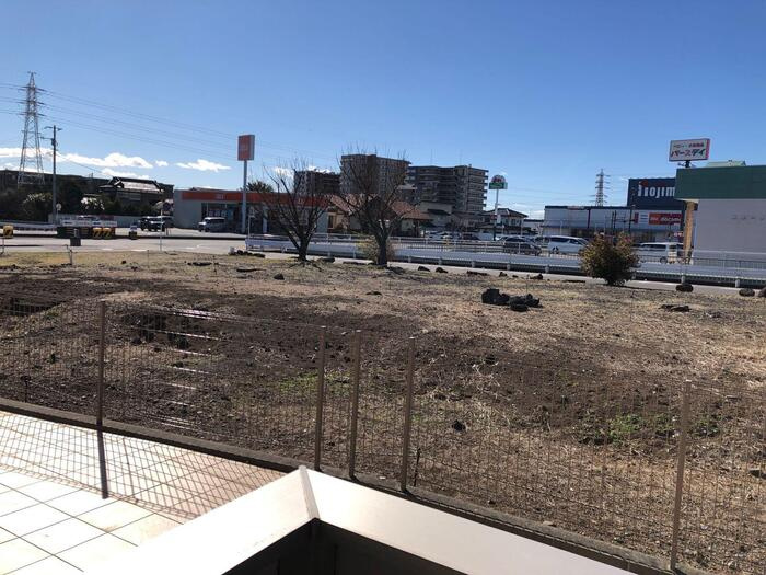 シャルロッテの展望