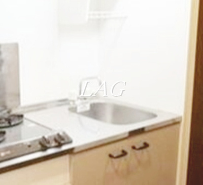 【その他】 | アムール Pur | シンクです。