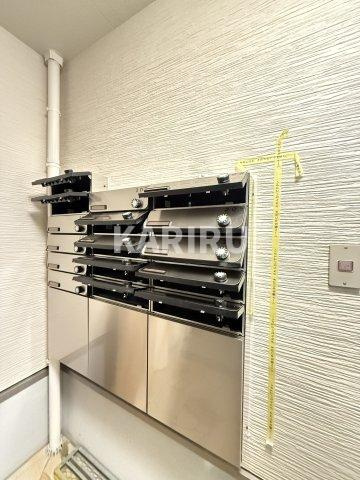 フジパレス　リュクスのその他共用部分