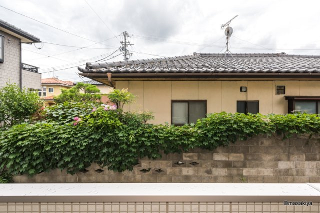 ワンステップの展望|眺望