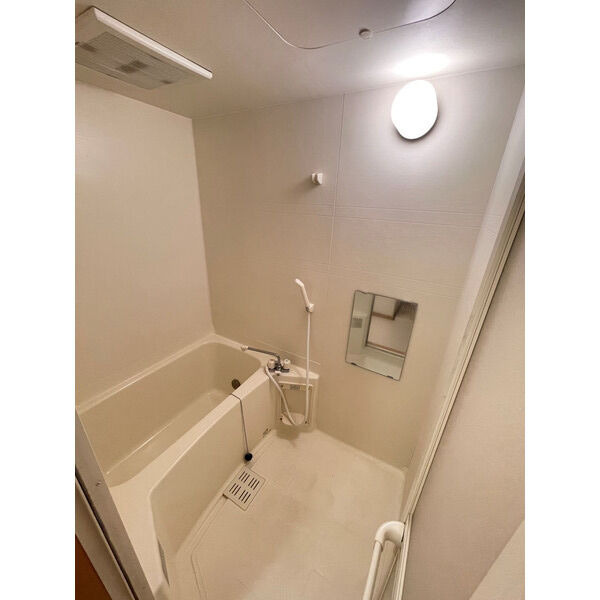 アイコリーネ城南の浴室