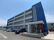 シエルオカモトの画像