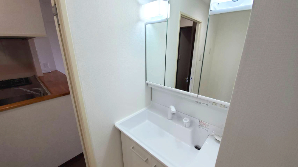 ダイアパレスビッグウィング深谷（内装一部リフォーム済）の独立洗面台