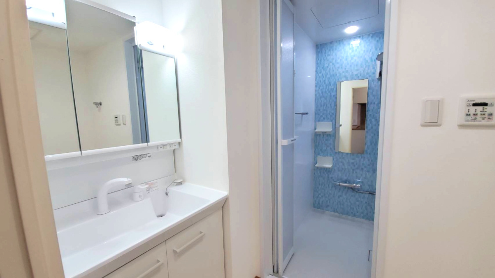 ダイアパレスビッグウィング深谷（内装一部リフォーム済）の洗面所