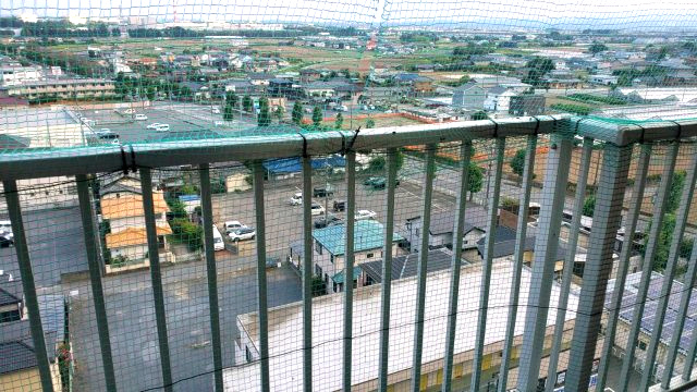 ダイアパレスビッグウィング深谷（内装一部リフォーム済）の展望